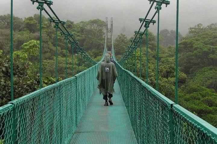 a man walking on hanging bridges